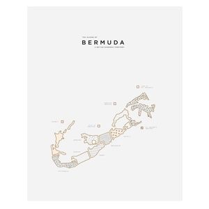 42 Pressed Print- Bermuda (NWOT)